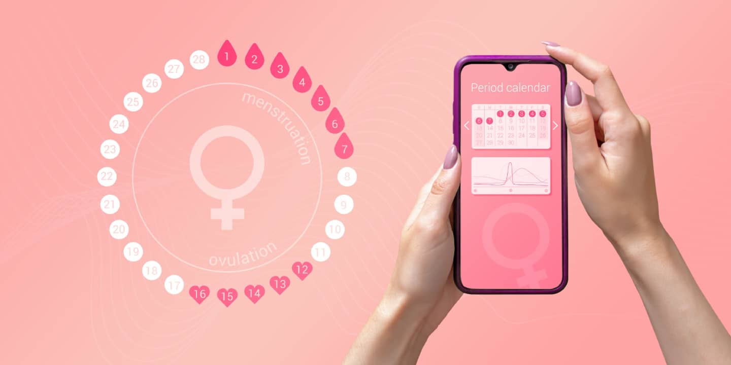Illustration eines Menstruations- und Ovulationskalenders auf dem Bildschirm eines Mobiltelefons